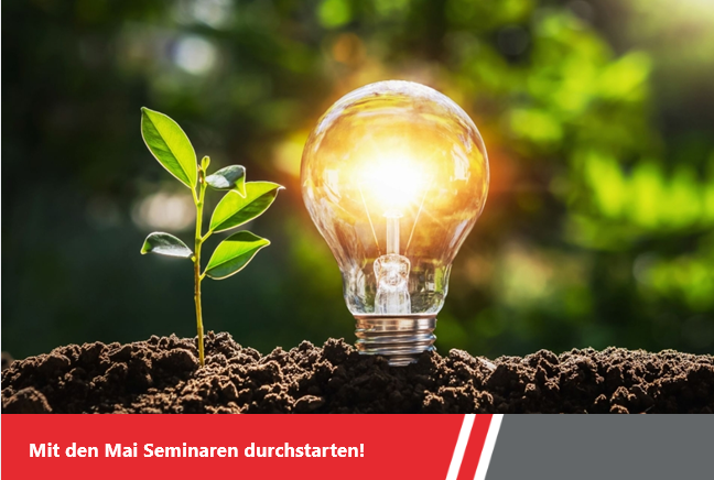 Teaserbild als dekoratives Element